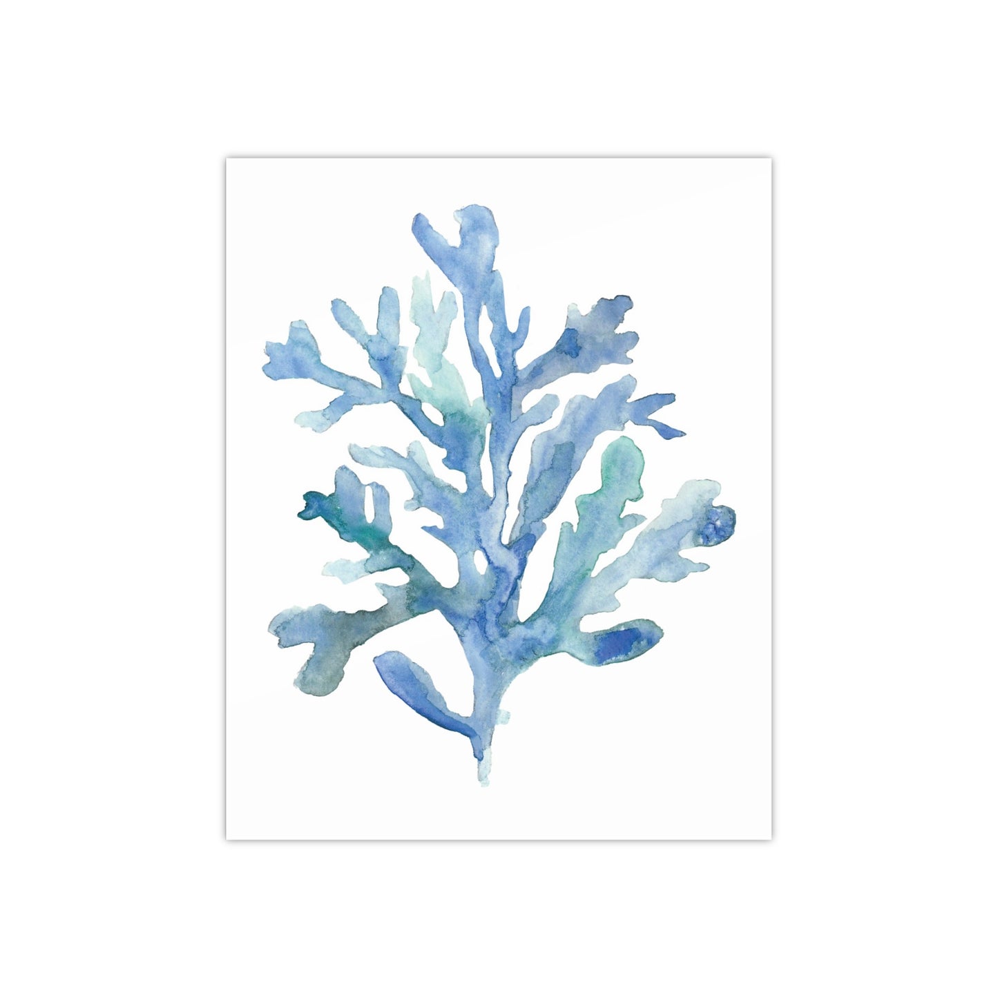Coral 2 Watercolor