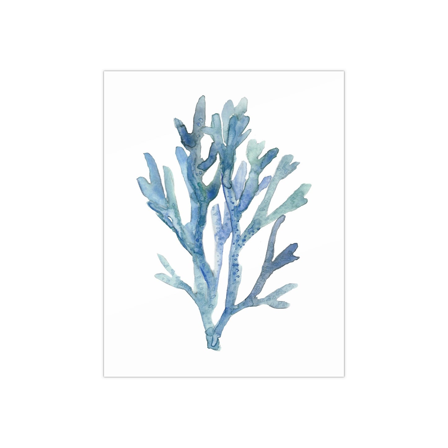 Coral 1 Watercolor