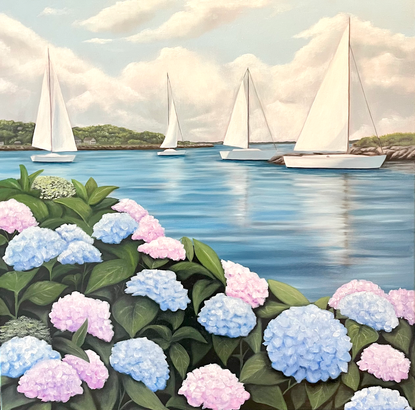 Hydrangea Harbor
