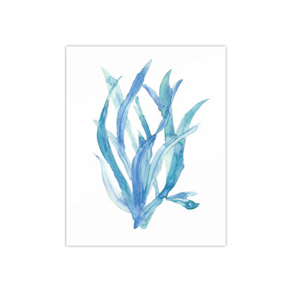 Seagrass Watercolor