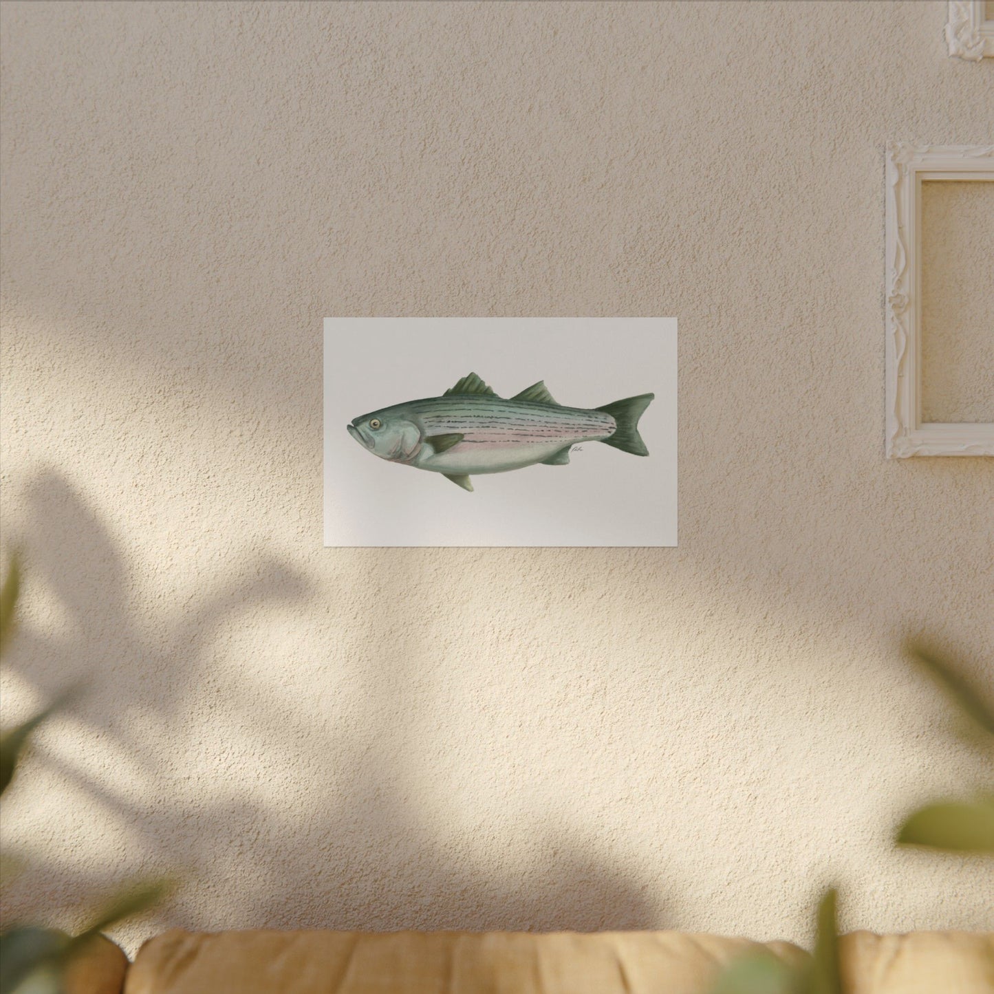 Striped Bass Watercolor